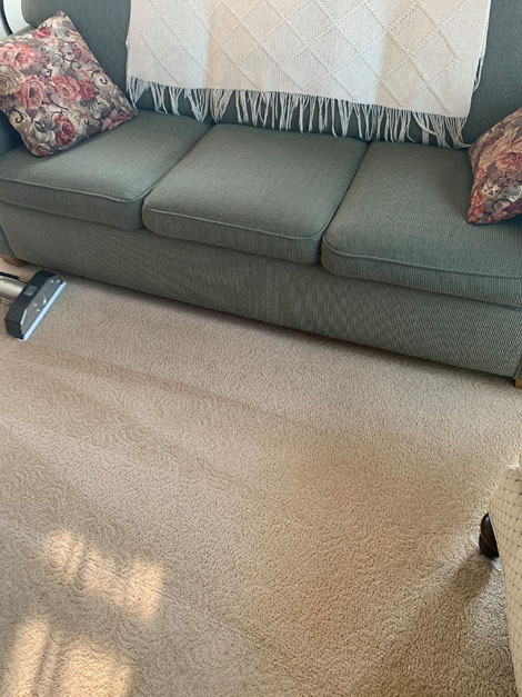 Carpet cleaning - Scotchguard